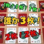ピットデラックスのルール紹介 :ヒートアップしすぎるボードゲーム