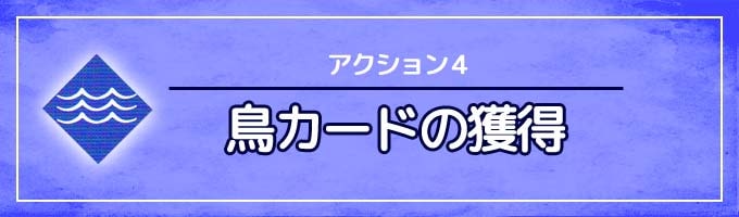 アクション④：鳥カードの獲得｜ウイングスパン