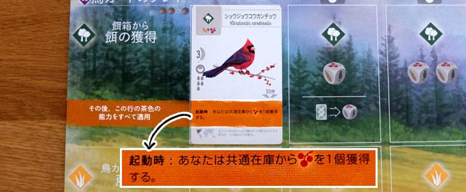 ウイングスパン：森林にいる鳥の能力を発動する