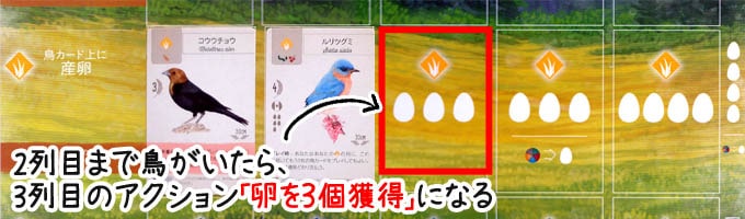 ウイングスパンのアクション「産卵」：草原の２列目に鳥がいたら、３列目のアクション「卵を３つ獲得」ができる