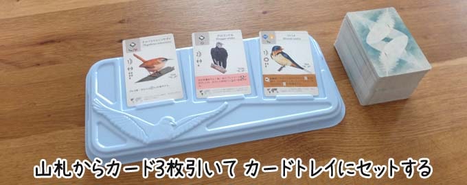 山札から鳥カード３枚引いて、カードトレイに表向きでセットする｜ウイングスパン