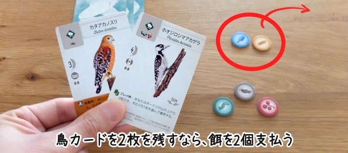 手札にする鳥カードを選ぶ｜ウイングスパン