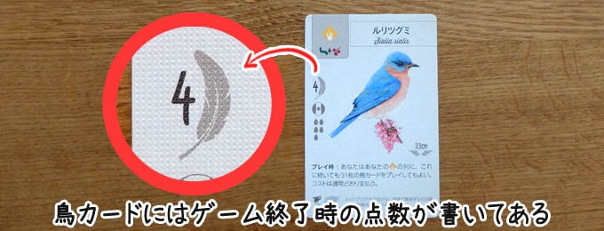 鳥カードの左側に「勝利点」が記されている｜ウイングスパン