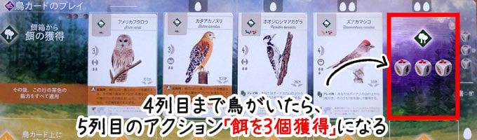 ウイングスパン：森林の４列目に鳥がいたら、餌を３個獲得する