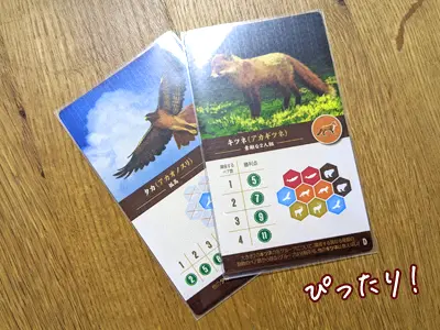 カスカディアを徹底紹介！地形と動物の2層パズルボードゲーム | ぼくボド